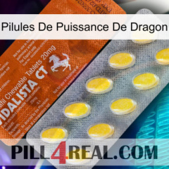 Dragon Power Pills 42